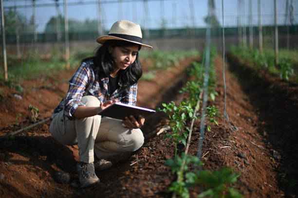 Dr. Meena Kulkarni, Soil Scientist