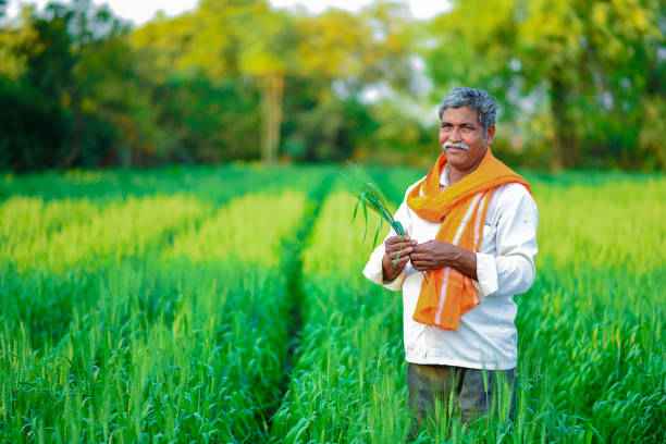 Anil More, Farmer (Maharashtra)