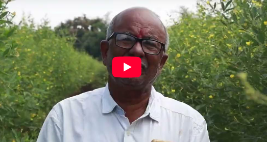 From Innovation to Cultivation: Discover KHETIKA’s Soil Revolution